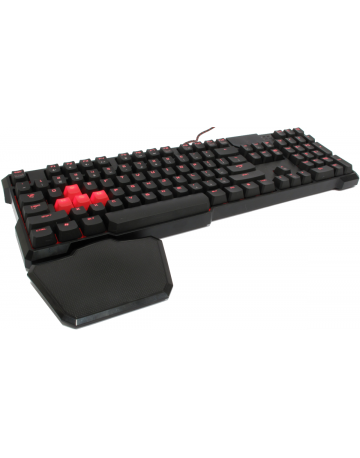 Single product image