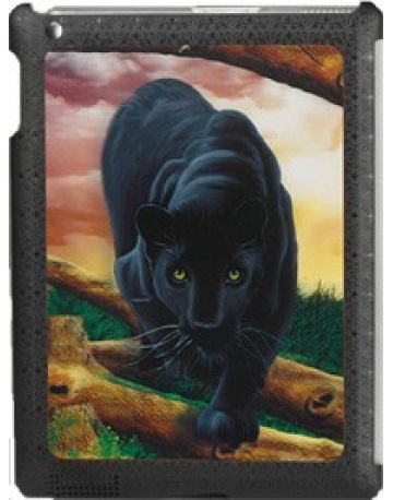 Single product image