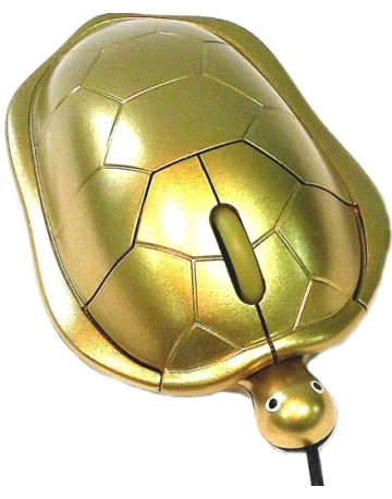 Single product image