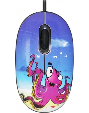 Single product image
