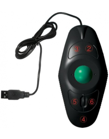 Single product image