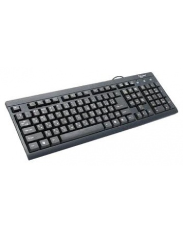 Single product image