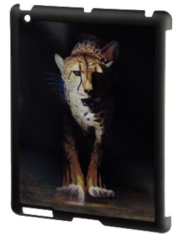 Single product image