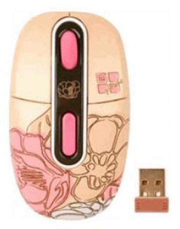 Single product image