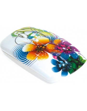 Single product image