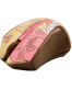 Single product thumbnail image